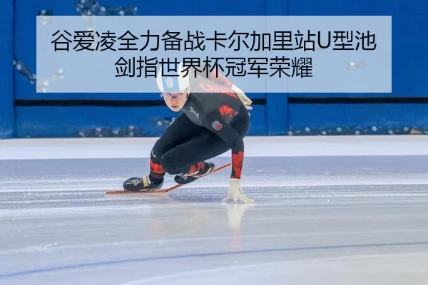 gu-ai-ling-quan-li-bei-zhan-ka-er-jia-li-zhan-xing-chi-jian-zhi-shi-jie-bei-guan-jun-rong-yao-3-313.jpg