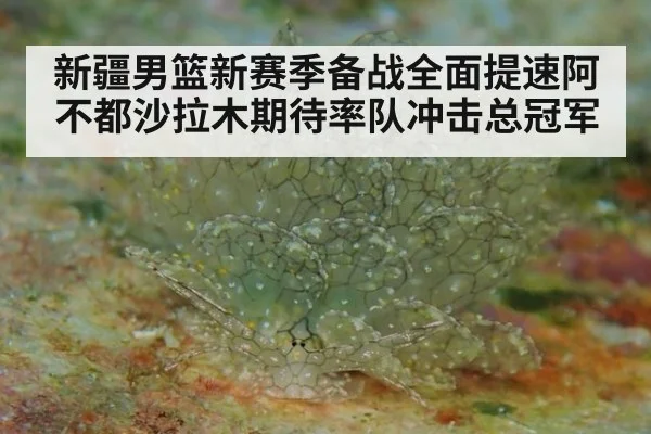 新疆男篮新赛季备战全面提速阿不都沙拉木期待率队冲击总冠军
